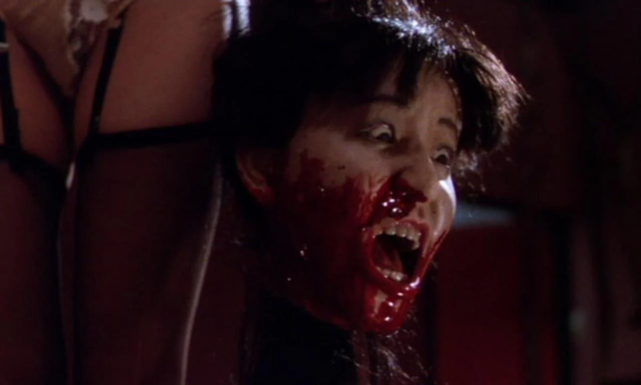 Gaira's Guts Trilogy (blu ray) standard edition - Image 2