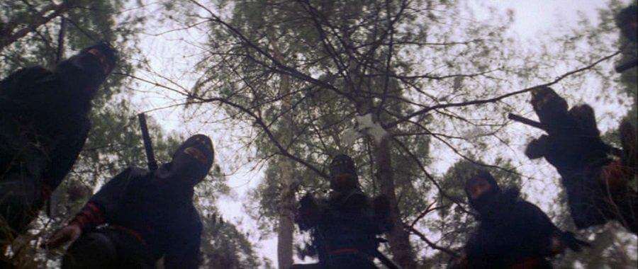 Hero of Shaolin (DVD) - Image 4