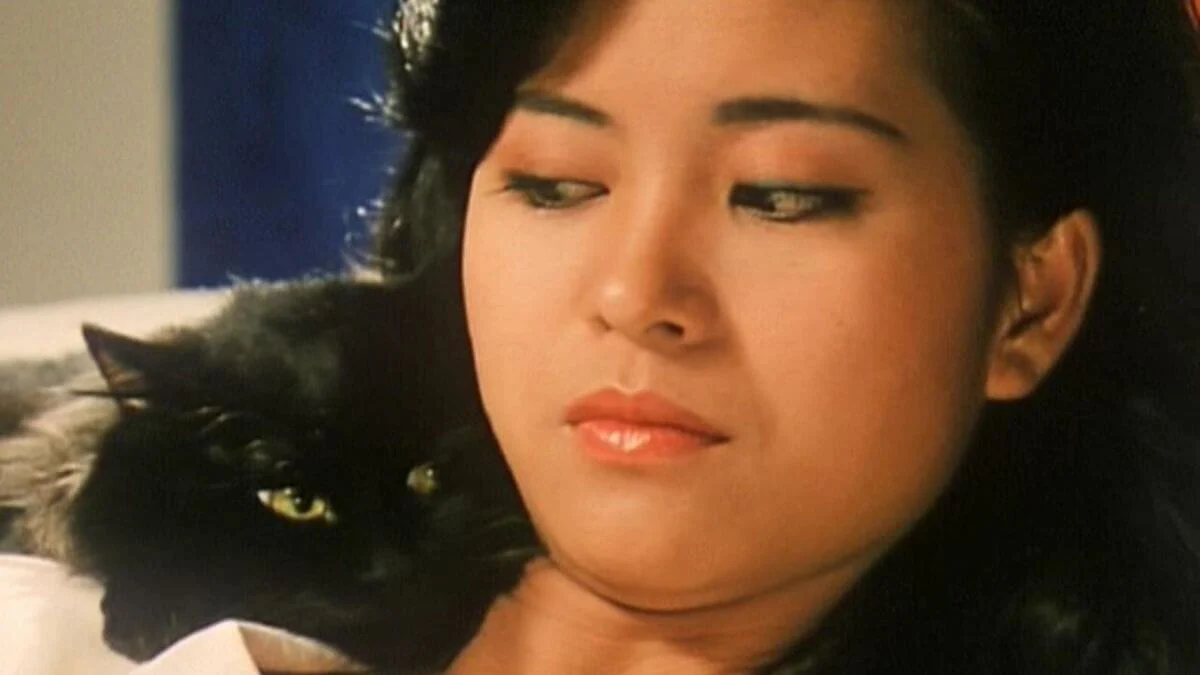 The Cat (blu ray) Limited Edition slipcase version - Image 3