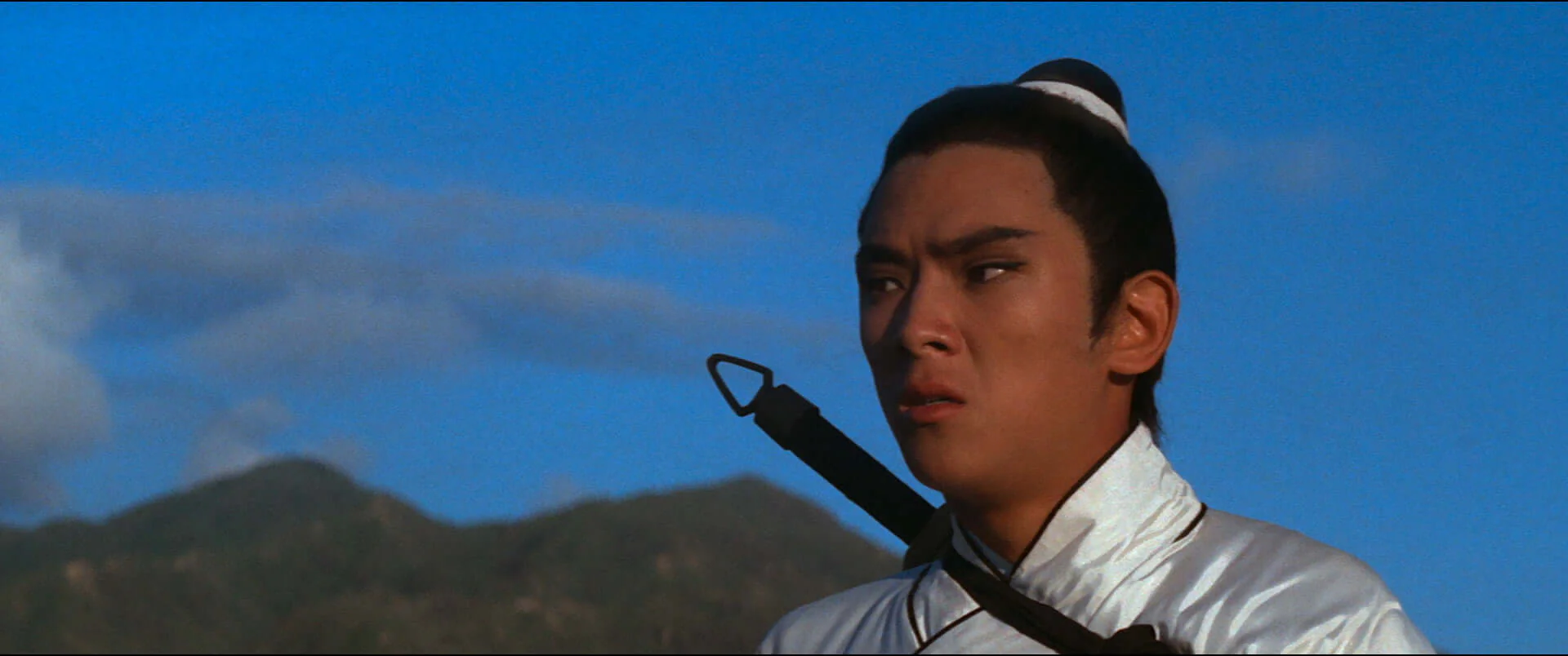 The Magnificent Chang Cheh (bluray) Limited Edition slipcase - Image 2