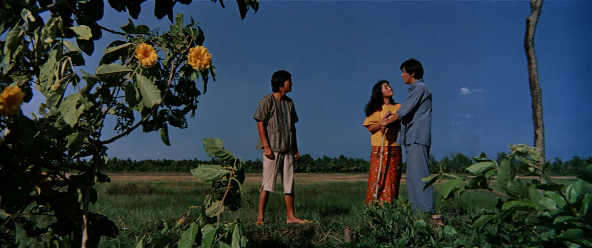 The Tattooed Dragon (bluray) Limited Edition slipcase version - Image 3