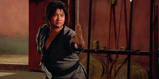 Three Films with Sammo Hung: The Iron-Fisted Monk / The Magnificent Butcher / Eastern Condors - Image 5